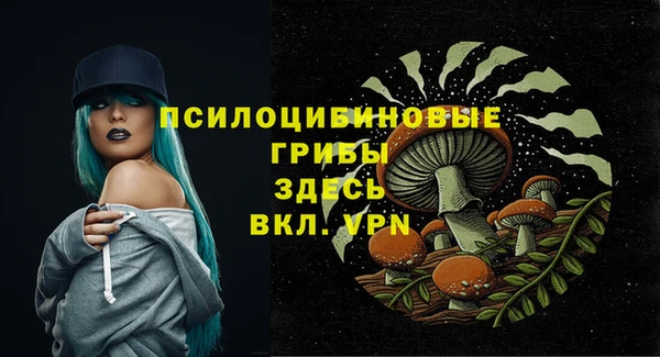 тгк Беломорск