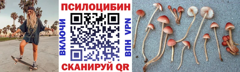Псилоцибиновые грибы мицелий  KRAKEN ТОР  Надым 